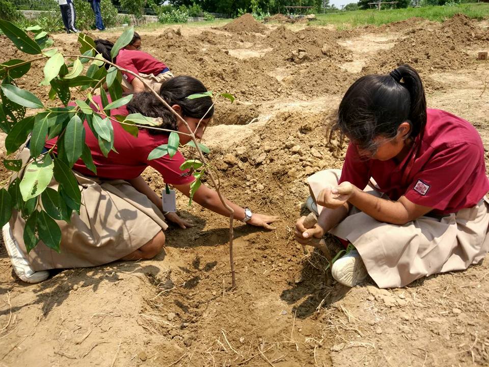 Two children in maroon school uniforms crouched in dug earth, settling a sapling into the ground