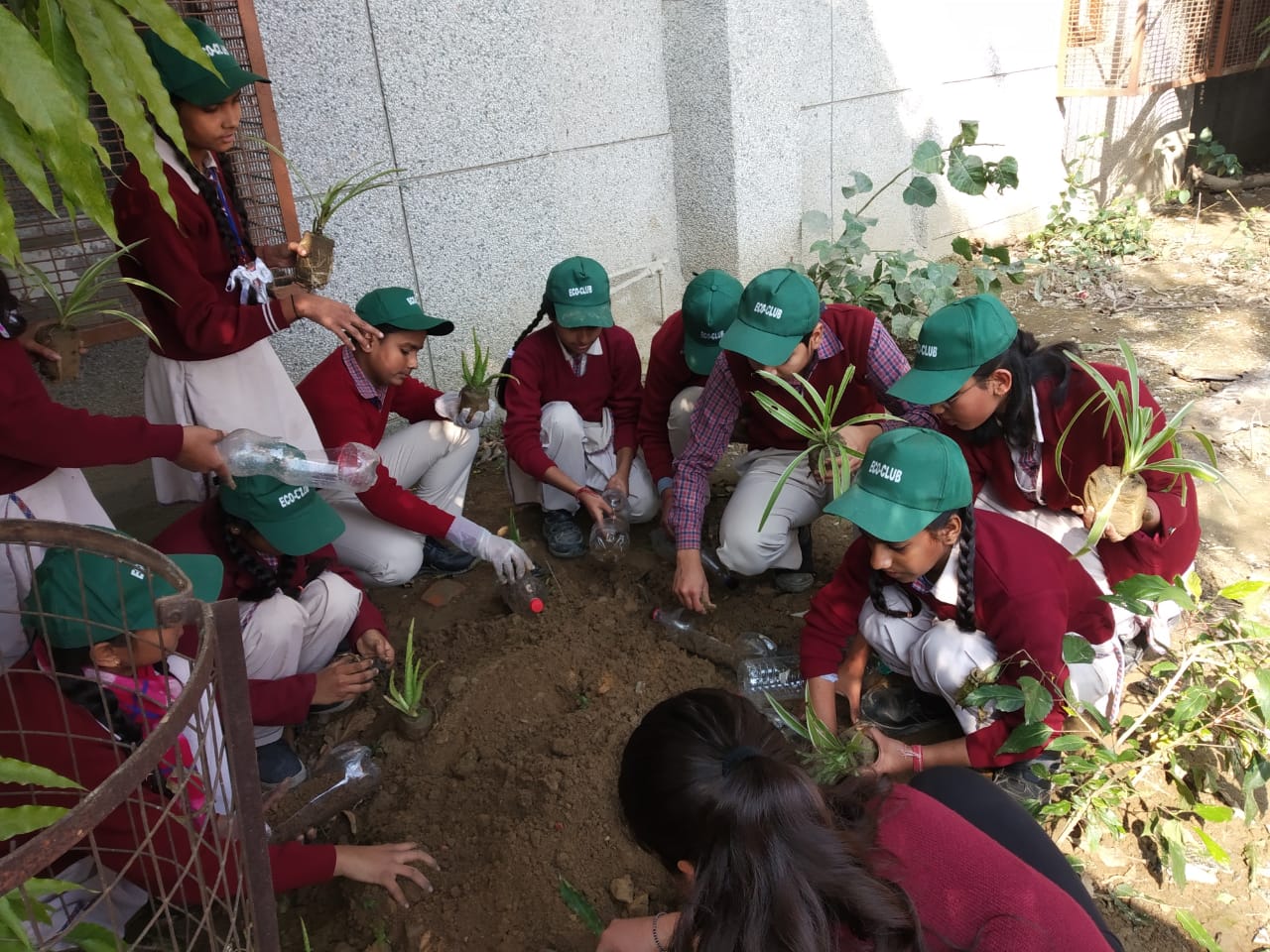 2020 / Planting