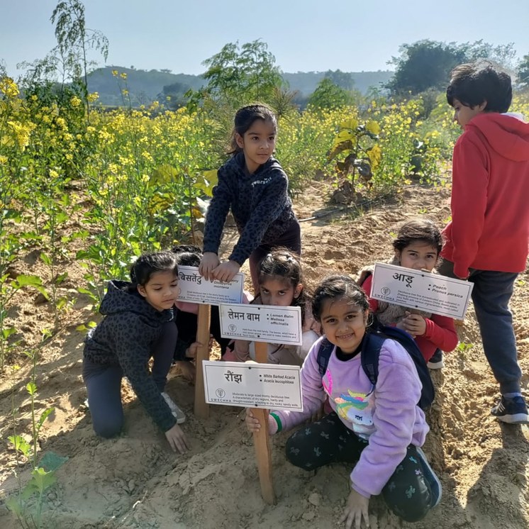 Schoolchildren holding seedling boxes at the edge of a mustard field