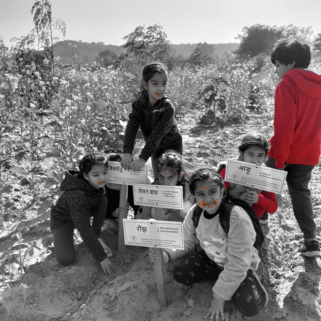 Children carrying labelled seedling boxes across a field