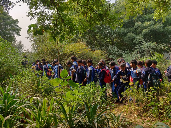 Placeholder frame: a school group walking in single file through tall green undergrowth
