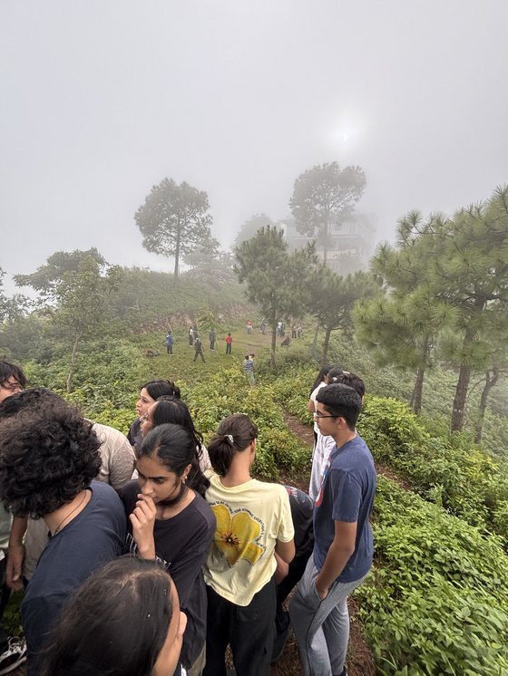 A group walking together through hill forest