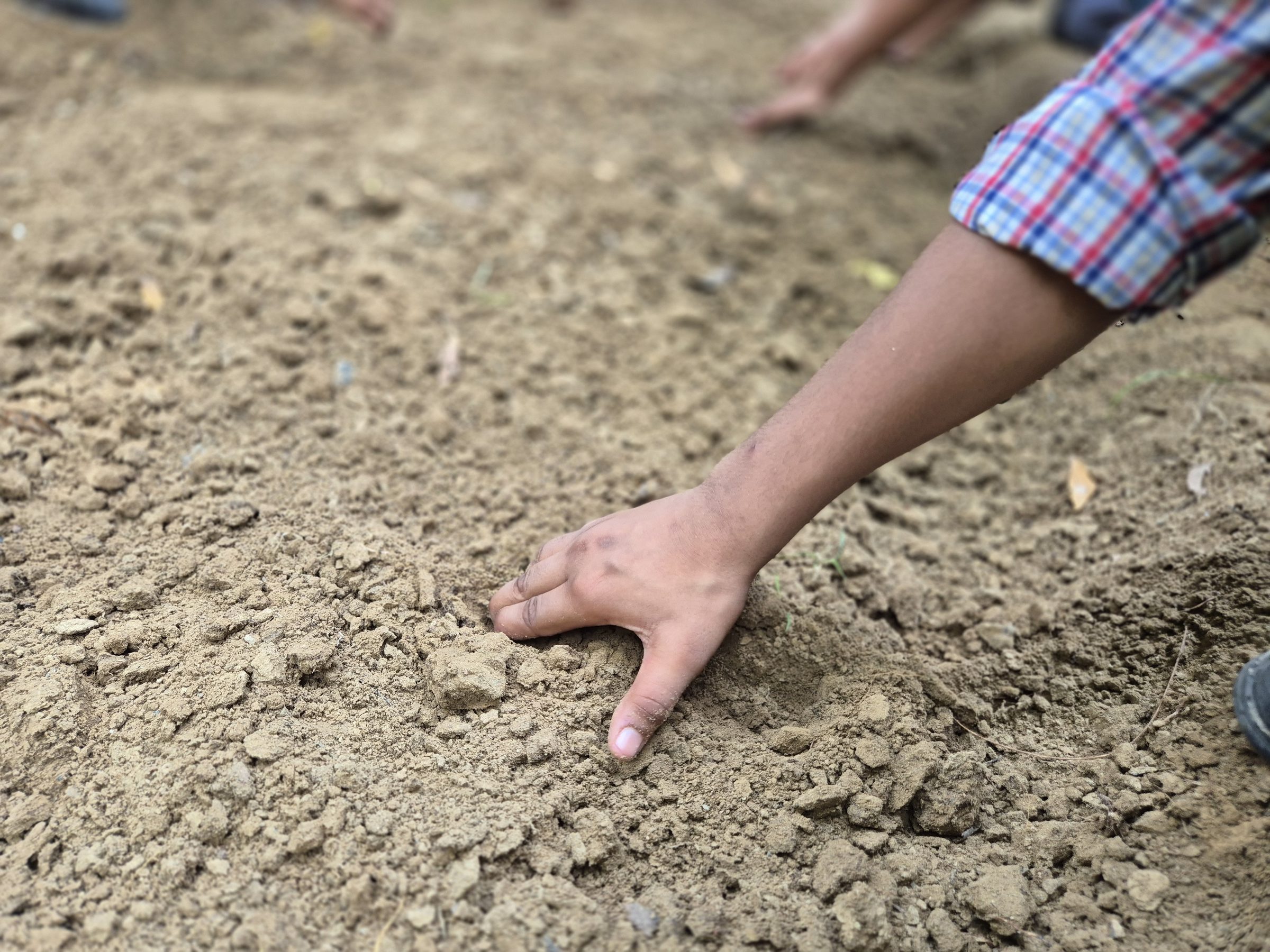 A child's hand in a checked school-uniform sleeve pressed into loose dry soil, a second pair of hands working further up the bed