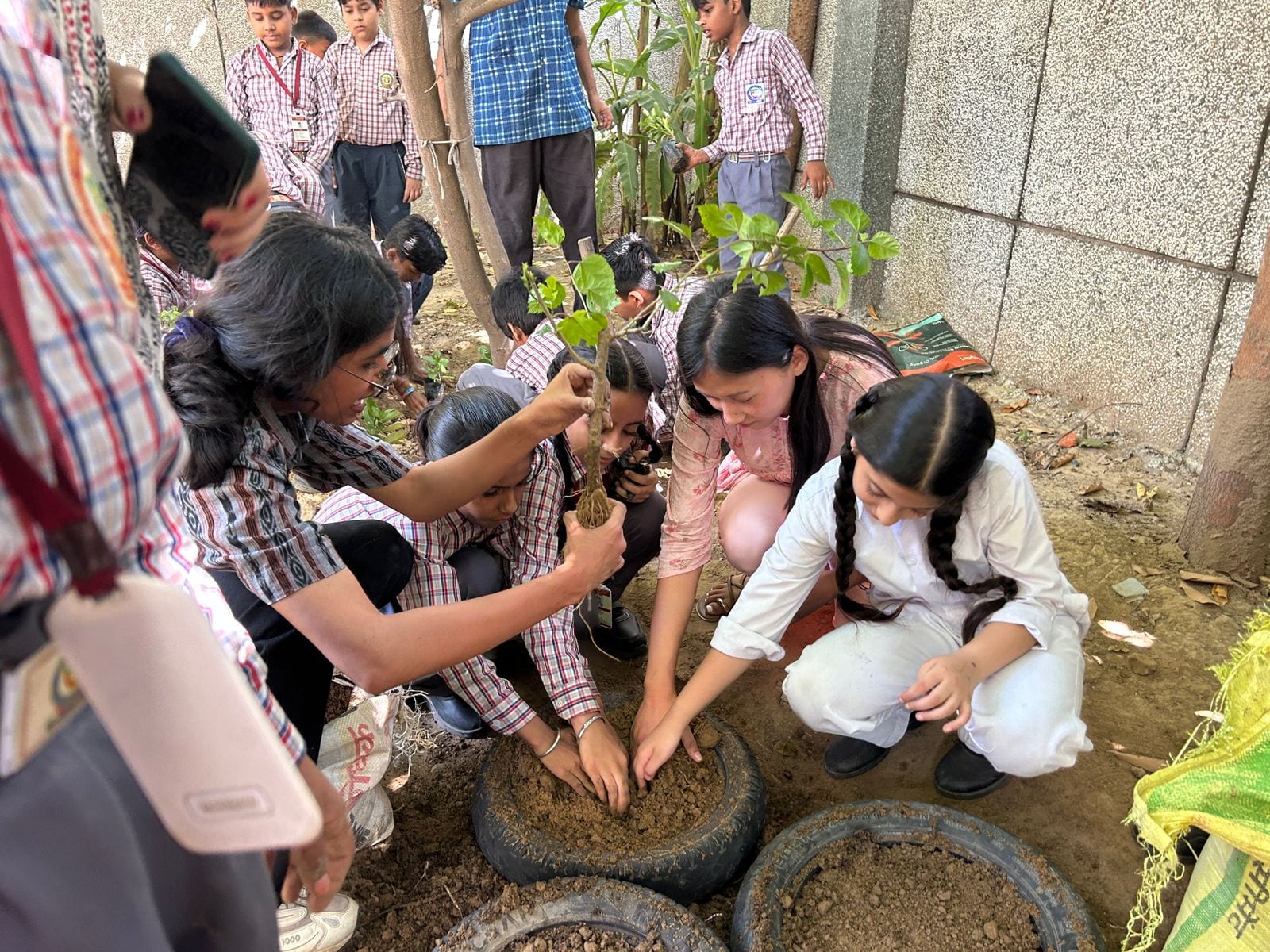 Schoolgirls in checked uniforms and two adults crouched around a soil-filled old tyre, one hand holding a bare-root sapling upright while others press the earth in, two more tyre planters and a school boundary wall behind them