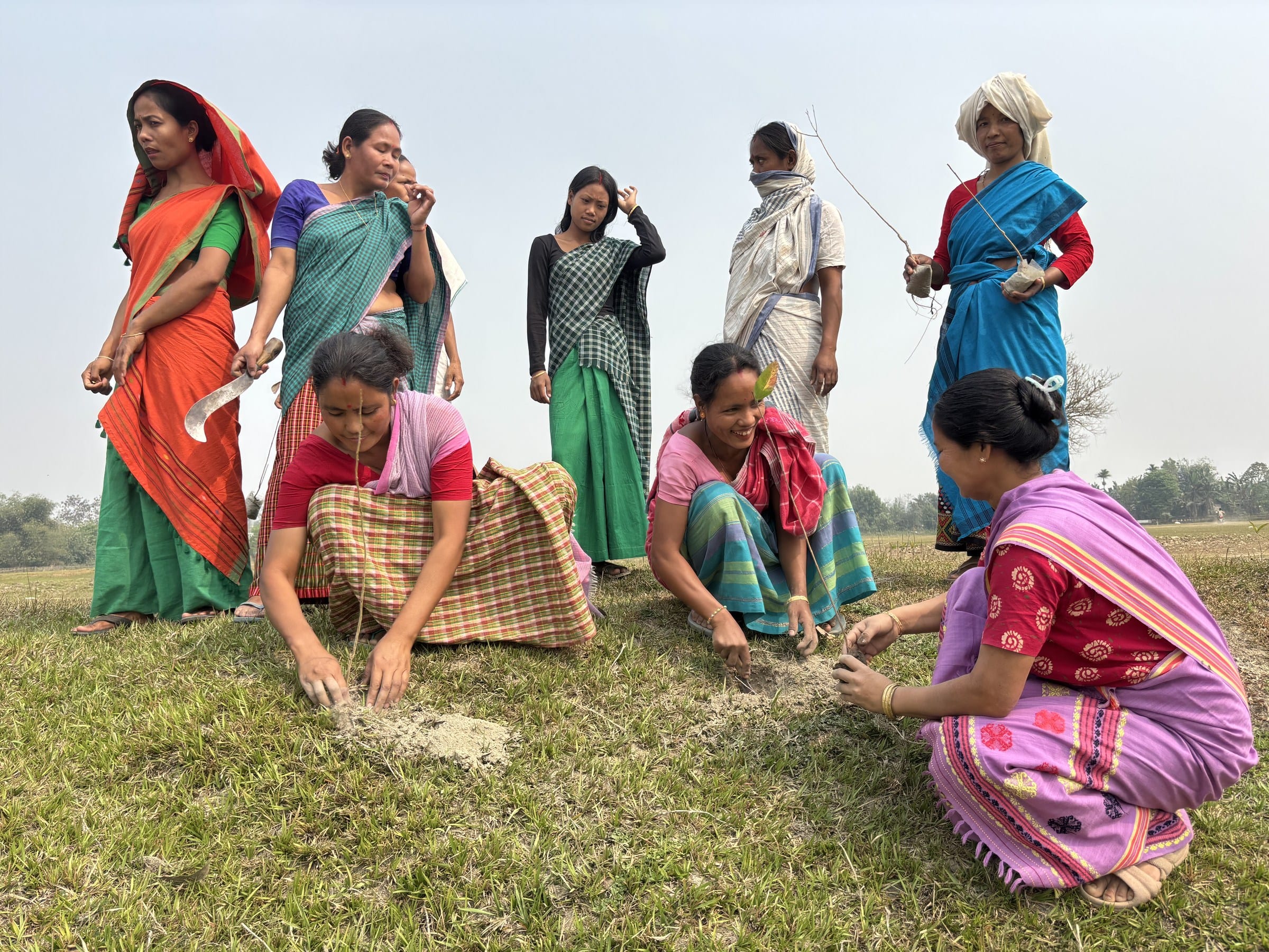 Three women crouched on open grassland pressing loose earth around newly planted saplings, six more standing behind them in bright mekhela sador, one holding a curved blade and another a bare-rooted sapling with its ball of soil
