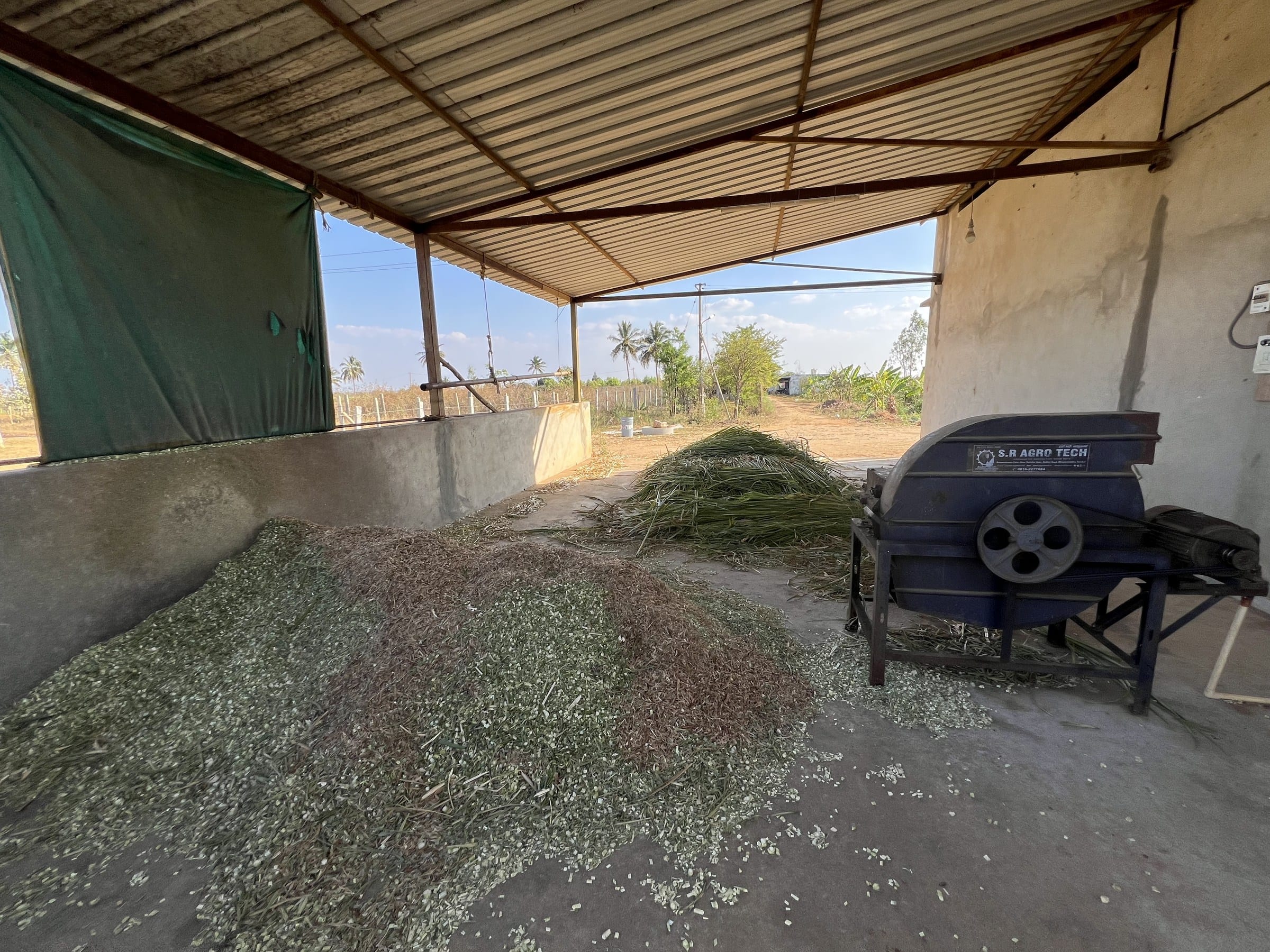 A blue chaff cutter standing on the concrete floor of an open-sided farm shed under a corrugated roof, a heap of freshly cut green Napier grass beside it and a larger heap of chopped dried fodder spread across the foreground
