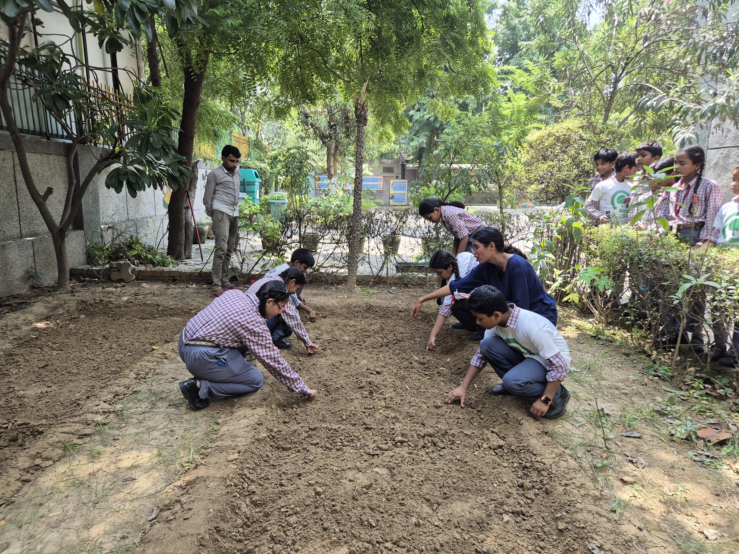 Schoolchildren and a facilitator crouched along a raked seedbed in a school ground, pressing seed into the soil while classmates watch from the edge
