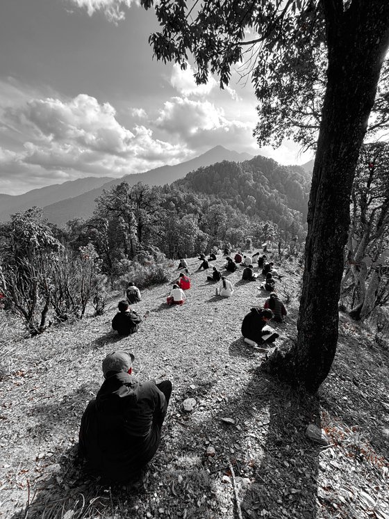 A group spread across a hillside writing and observing under a tree