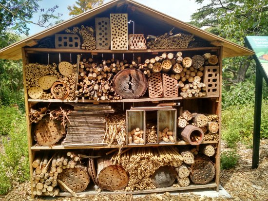 insect-hotel
