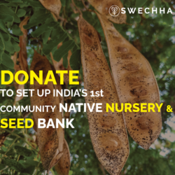 Help us develop India’s First Community Native Nursery! Contribute today