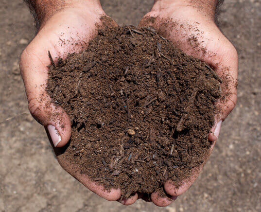 enriched-topsoil-hand