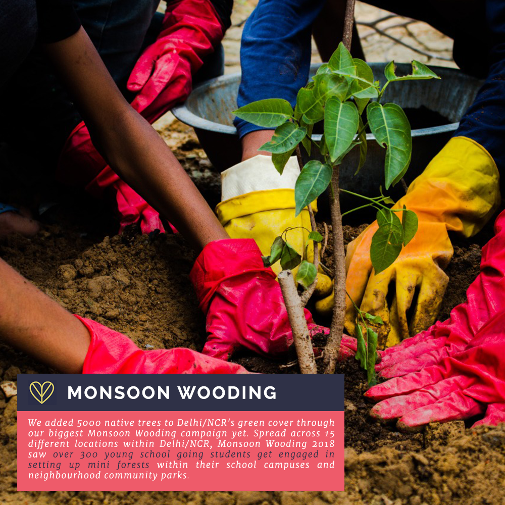 monsoon-banner