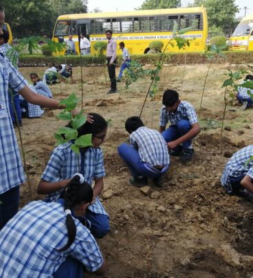 tree plantation in schools